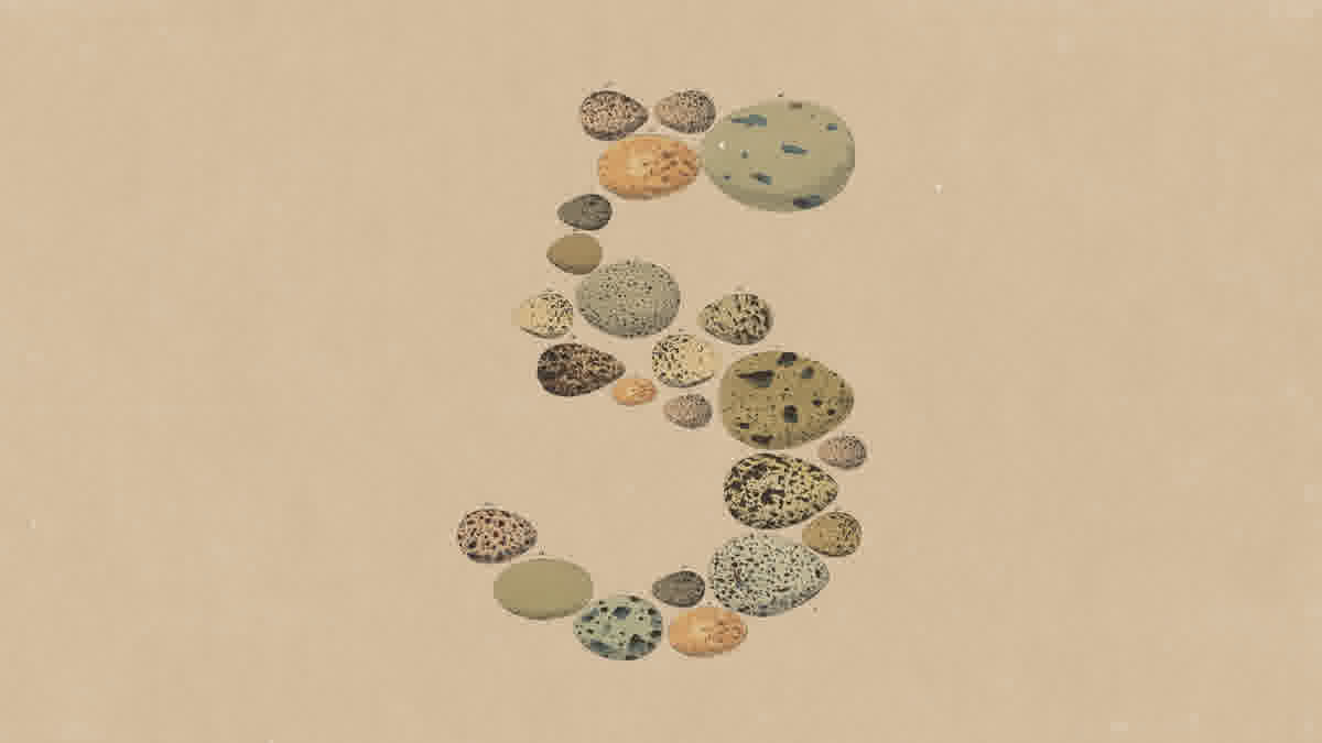 Anthropic 发布 Claude Opus 5:近 Fable 级别的智能,一半的价格