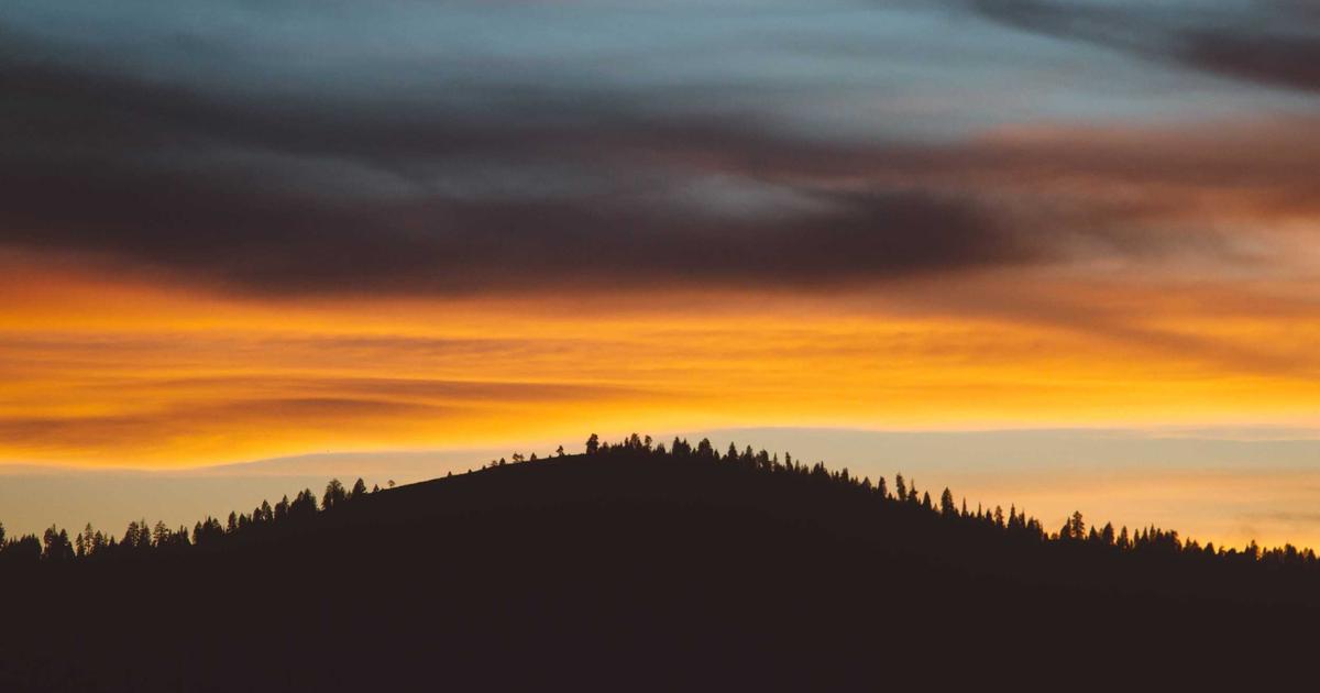如果你在寻求人类的关注,请先展示人类的努力